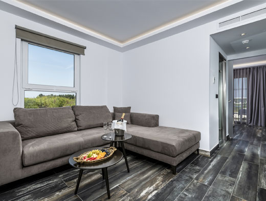 One-Bedroom Family Room